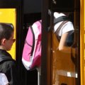 Правила перевозки детей в автобусе: нормативные акты, необходимое сопровождение, разрешительные документы и технические требования к транспорту