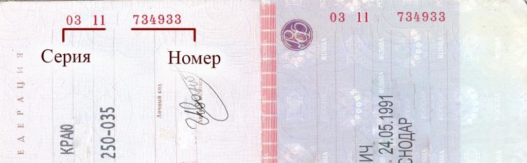 Серия и номер паспорта